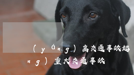 陽(yáng)高交通事故起訴(高陽(yáng)重大交通事故)