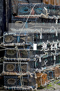 陽光保險(xiǎn)貸款逾期了(陽光保險(xiǎn)貸款逾期了是找主債人,還是擔(dān)保人)