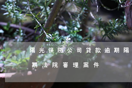 陽光保險公司貸款逾期(陽光保險公司貸款逾期法院審理案件)