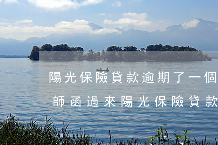 陽光保險貸款逾期了一個月發(fā)了律師函過來（陽光保險貸款逾期多久會被起訴）