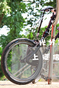 陽光分期逾期會(huì)怎么樣(陽光分期上征信嗎)