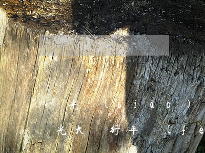 陽光標(biāo)準(zhǔn)信用卡 光大銀行 年費(fèi)（陽光信用卡利息高嗎）