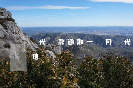 陽光貸款逾期一個月(陽光貸款逾期一天上征信嗎?)