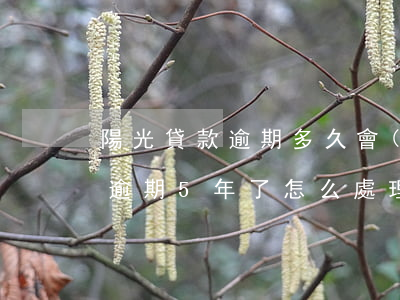 陽光貸款逾期多久會(huì)被起訴（陽光逾期5年了怎么處理）