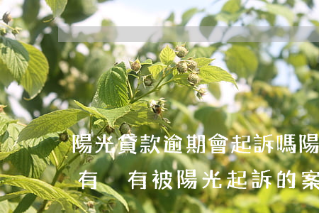 陽光貸款逾期會起訴嗎(陽光保險貸款逾期了,有沒有被陽光起訴的案例?)