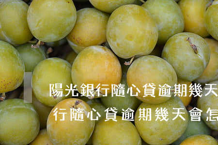 陽光銀行隨心貸逾期幾天會怎么樣-陽光銀行隨心貸逾期幾天會怎么樣嗎