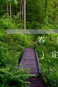 陽春離婚孩子撫養(yǎng)的規(guī)定