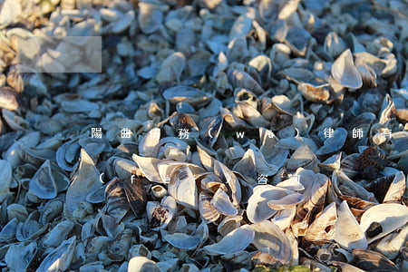 陽曲債務(wù)律師有哪些(陽曲律師免費(fèi)咨詢)