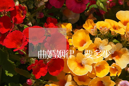 陽曲婚姻律師要多少錢(陽泉離婚律師在線咨詢)