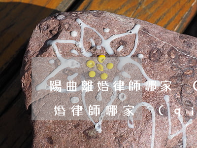 陽曲離婚律師哪家強(qiáng)(陽曲離婚律師哪家強(qiáng))