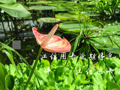 陽江信用卡逾期停息掛賬申請(qǐng)條件-陽江信用卡逾期停息掛賬申請(qǐng)條件是什么