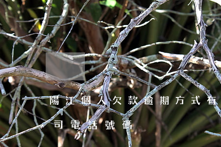 陽江個人欠款逾期方式有哪些-陽江貸款公司電話號碼