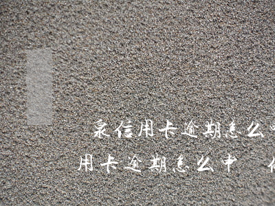 陽泉信用卡逾期怎么申請停息掛賬-陽泉信用卡逾期怎么申請停息掛賬的
