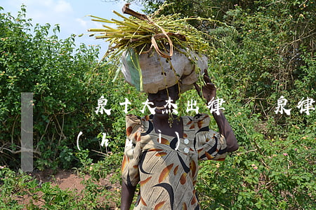 陽泉十大杰出律師(陽泉律師協(xié)會(huì))