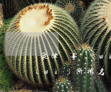 陽泉律師事務(wù)所排名(陽泉律師事務(wù)所排名)