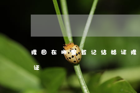 隆回在哪里登记结婚证(隆昌市民政局办结婚证)