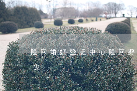 隆回婚姻登記中心(隆回縣婚姻登記處電話多少)