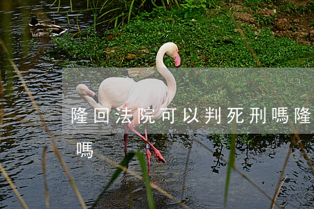 隆回法院可以判死刑嗎(隆回法院可以判死刑嗎)