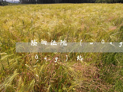 隆回法院網(wǎng)站(隆回法院網(wǎng)站)