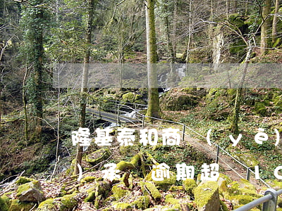 隆基泰和商業(yè)承兌逾期(商業(yè)承兌逾期超過10天怎么辦)