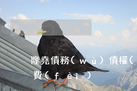 隆堯債務(wù)債權(quán)律師收費(fèi)