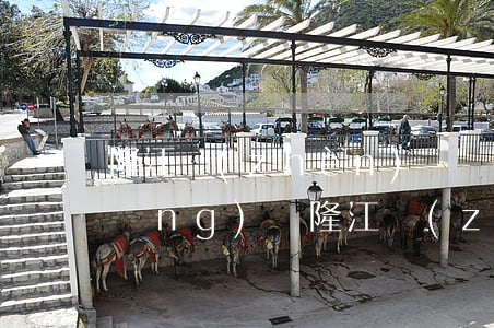 隆江鎮(zhèn)鳳紅村多少人欠網(wǎng)貸(隆江鎮(zhèn)鳳紅村多少人欠網(wǎng)貸)