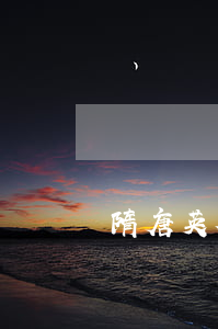 隋唐英雄信用卡逾期4天怎么辦-隋唐英雄傳會員信物