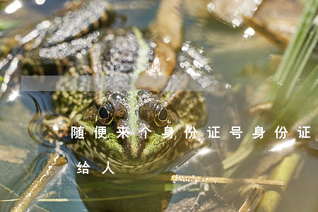 随便来个身份证号(身份证号是不是不能随便给人)