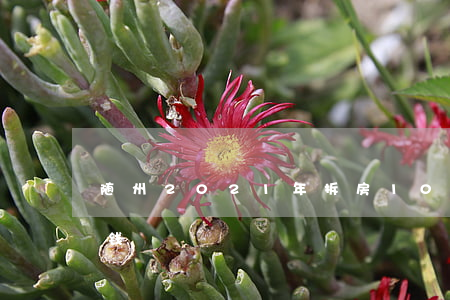随州2021年拆房100平可以获得多少钱