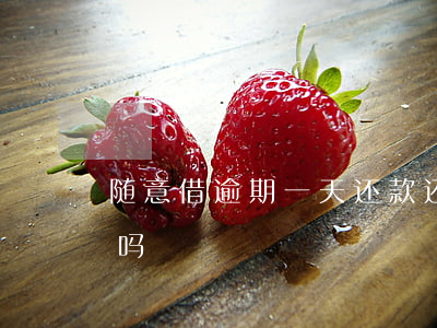 随意借逾期一天还款(还贷款超过一天算逾期吗?)
