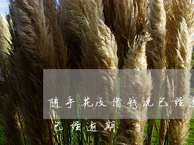 随手花没借钱说已经逾期-随手花没借钱说已经逾期