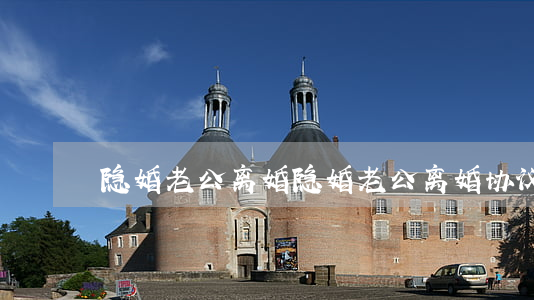 隐婚老公离婚(隐婚老公离婚协议请签字)