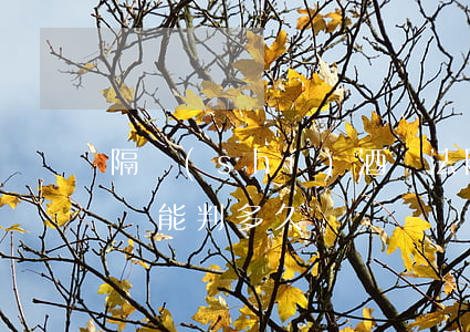 隔時(shí)酒駕法院判決可以減輕嗎(酒駕能判多久)