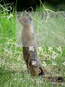 隔离期信用卡逾期怎么办(被隔离了信用卡逾期怎么办)