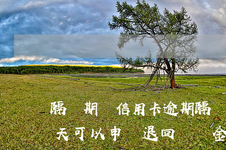 隔離期間信用卡逾期(隔離期間信用卡逾期4天可以申請退回違約金么)