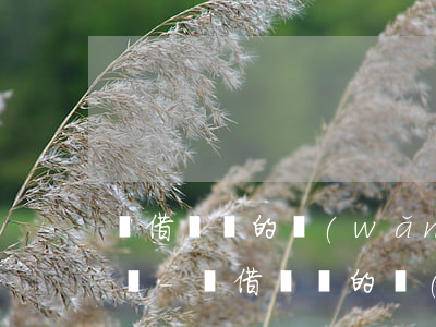 隨借隨還的網(wǎng)貸可以提前還款嗎-隨借隨還的網(wǎng)貸可以提前還款嗎安全嗎
