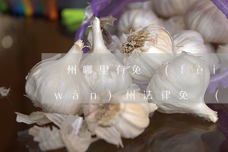 隨州哪里有免費(fèi)的法律援助(萬(wàn)州法律免費(fèi)援助地址什么地方)