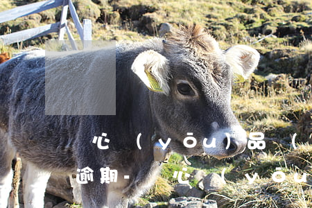 隨心優(yōu)品發(fā)短信說貸款逾期-隨心優(yōu)品發(fā)短信說貸款逾期了