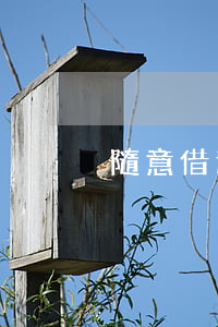 隨意借逾期10天 隨意借逾期一天要緊嗎