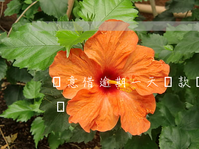 隨意借逾期一天還款(還貸款超過一天算逾期嗎?)