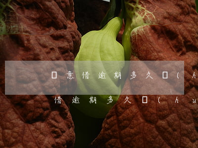 隨意借逾期多久會(huì)被起訴-隨意借逾期多久會(huì)被起訴