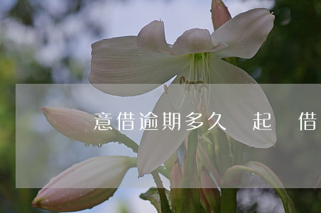 隨意借逾期多久會起訴(借錢逾期多久可以起訴)