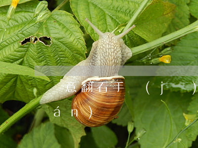 隨意翻看手機(jī)算侵犯隱私權(quán)嗎