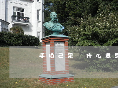 隨手拍已采納什么意思(隨手一拍是什么意思)