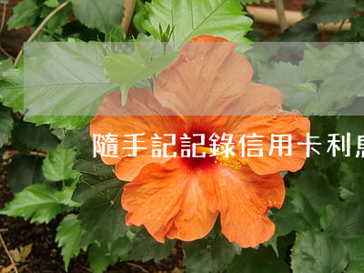 隨手記記錄信用卡利息(隨手記信用卡賬本)