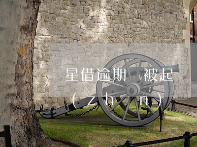 隨星借逾期會被起訴嗎(小米隨星借逾期說要準(zhǔn)備開庭)