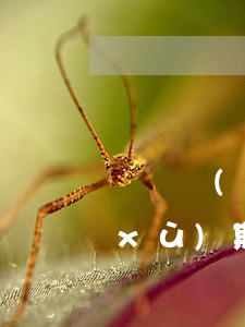 隨時現(xiàn)金逾期兩天還可以續(xù)期嗎-隨時現(xiàn)金逾期兩天還可以續(xù)期嗎