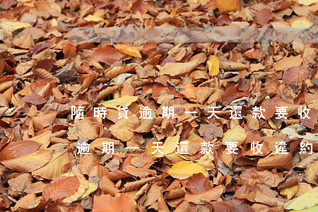 隨時貸逾期一天還款要收違約金嗎-隨時貸逾期一天還款要收違約金嗎合法嗎