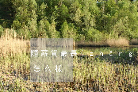 隨薪貸最長(zhǎng)逾期多久(隨薪貸怎么樣)