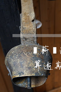 隨薪貸逾期1天還款后果(個人貸款遲還一天算逾期嗎)